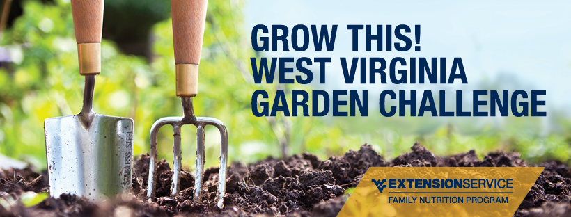 screen grab of social media header